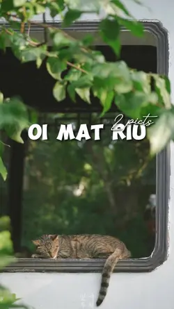2 ảnh nhẹ nhàng 
