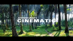 Cinematic Nature