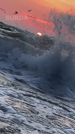 TREND SLOWMO 