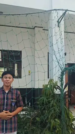 mantap 
