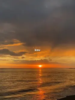 api tiktok