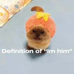 Definition of Im him