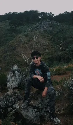 1pic