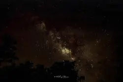 lyrics 