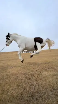 equestrian life 😍
