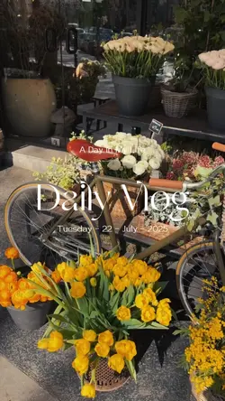 Daily Vlog