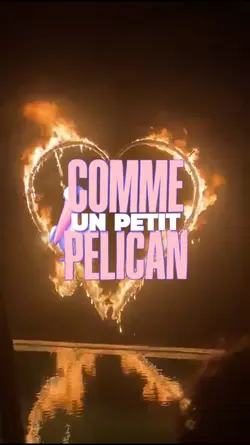 PELICAN - L2B