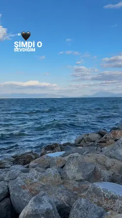 Duygusal şablon 