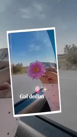 gel dedim geldin