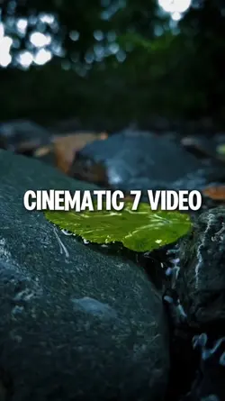 7 video cinematic 