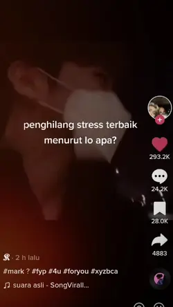 penghilang setres