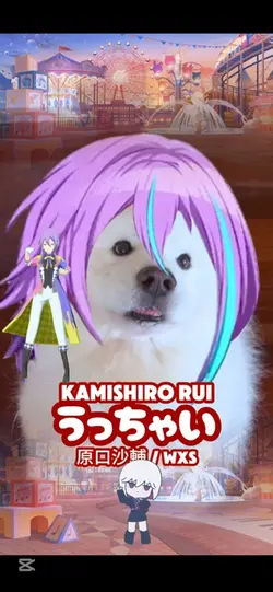 UTCHEI KAMISHIRO RUI