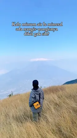 Hits 