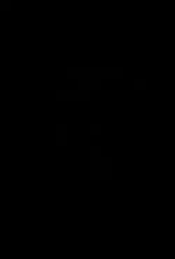 Udass larka