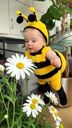 Cute baby bee❤️😍