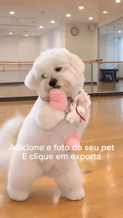 Cachorro dançando#ia