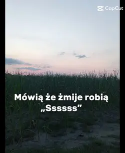 kochana