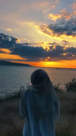 filter sunset