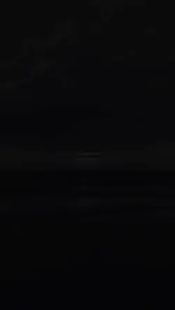 Şablon Viral :)