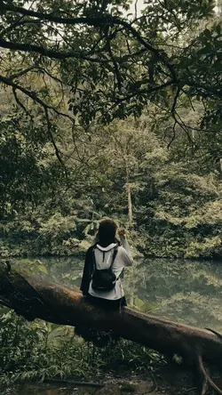 Suara alam hutan.