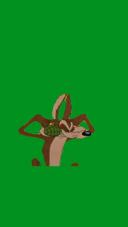 coyote boom
