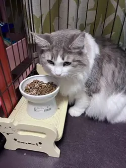 モーションブラー用！