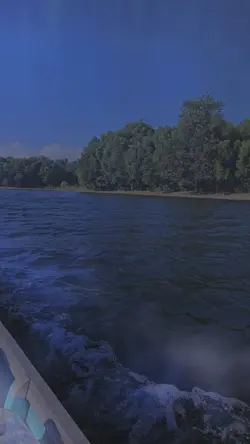 Nature slowmo