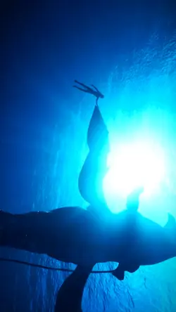 Avatar Pandora 