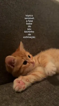 tópico sensível: