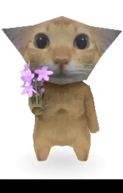 cat<3