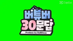 버?튜버 30문답