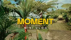 Daily Vlog