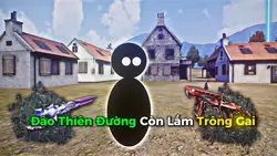 Làm Ván Phi Phai