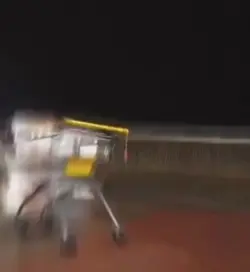 Shopping cart