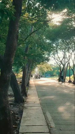 Free Film
