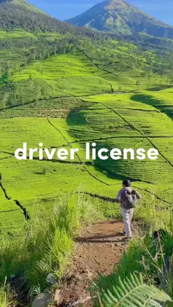 DRIVER LICENSE 
