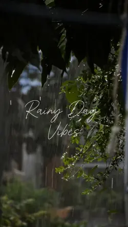 Rainy Day Vibes