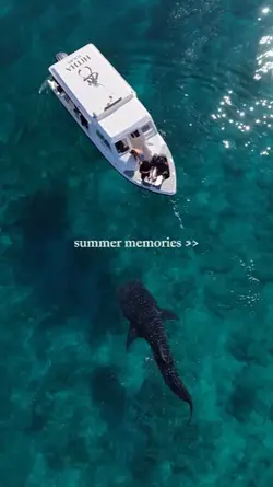 summer memories
