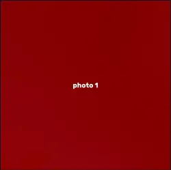 12 photos