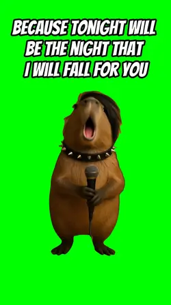 I will fall for you