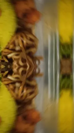 Kuliner Vibes