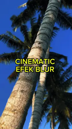 CINEMATIC EFEK BLUR 