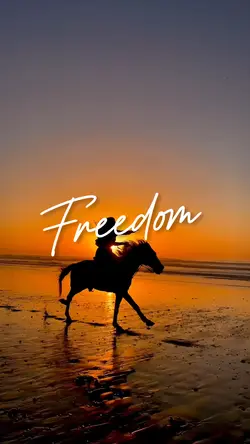 Horses are Freedom