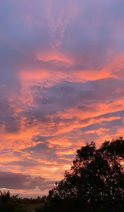 addict a la vitesse