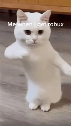 Me when I get robux