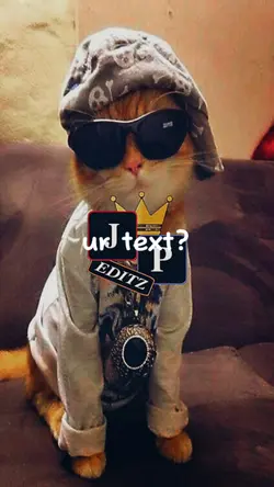 Your Text?