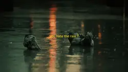 RAIN