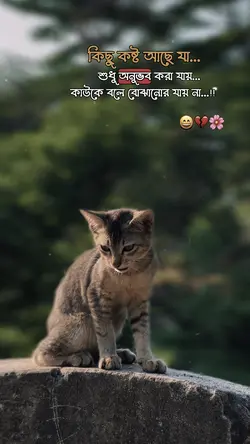 কিছু কষ্ট আছে যা 😄💔🌸।।