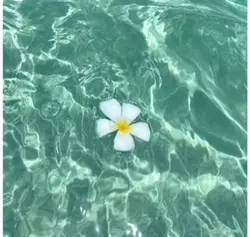 La mare?