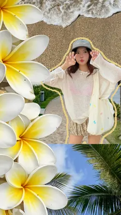 template summer 